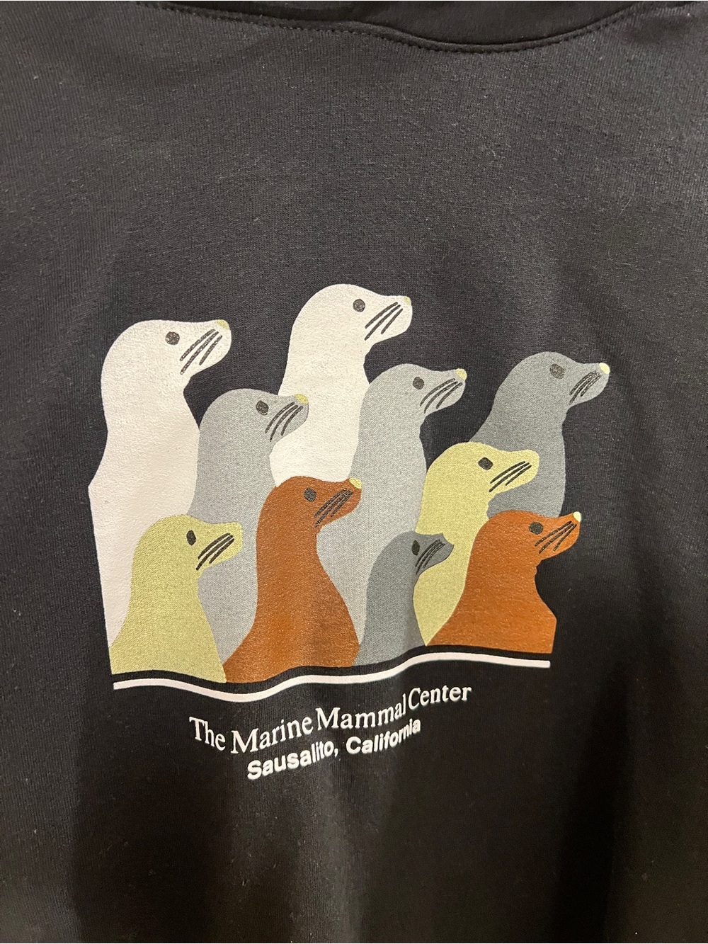Marine Mammal Center Anniversary Seal Hoodie